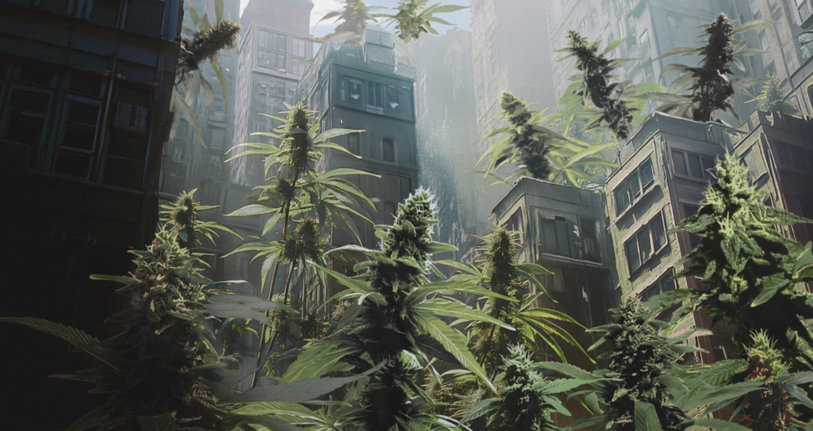 Last Dance with Mary Jane - Snoop Dogg feat. Tom Petty & Jelly Roll