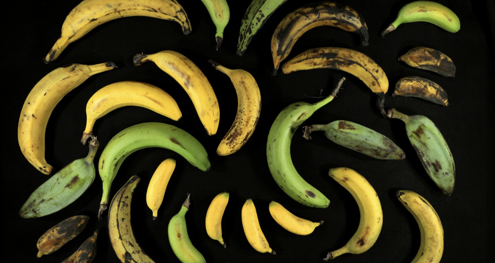 Banana Soup