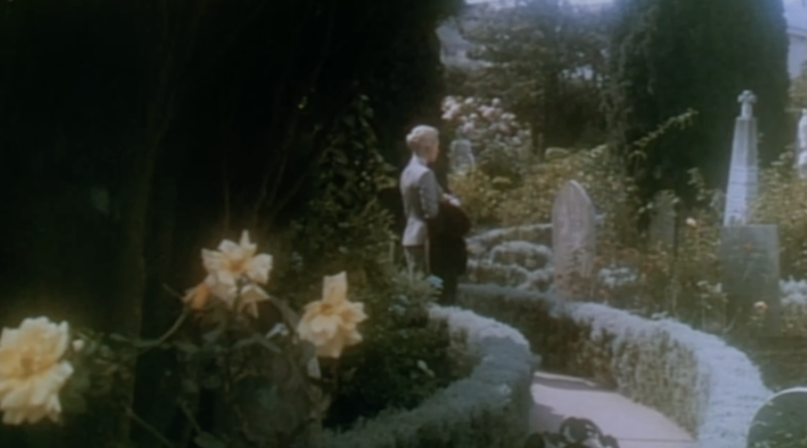 Vertigo
