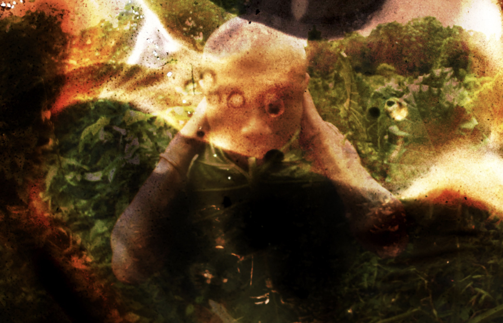 Born of the Yam