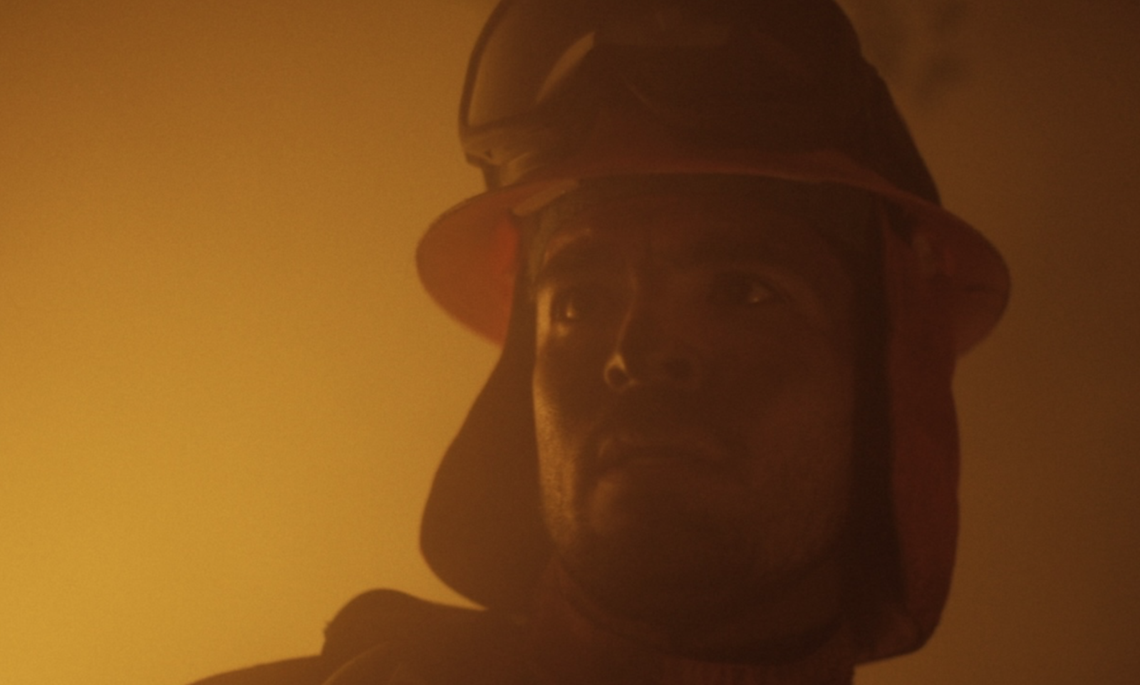 Fireline