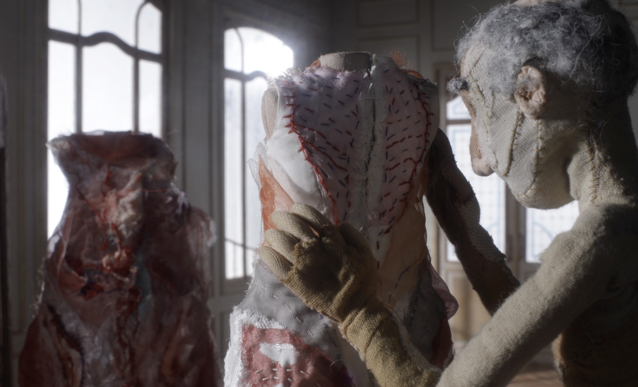The Flesh Dress