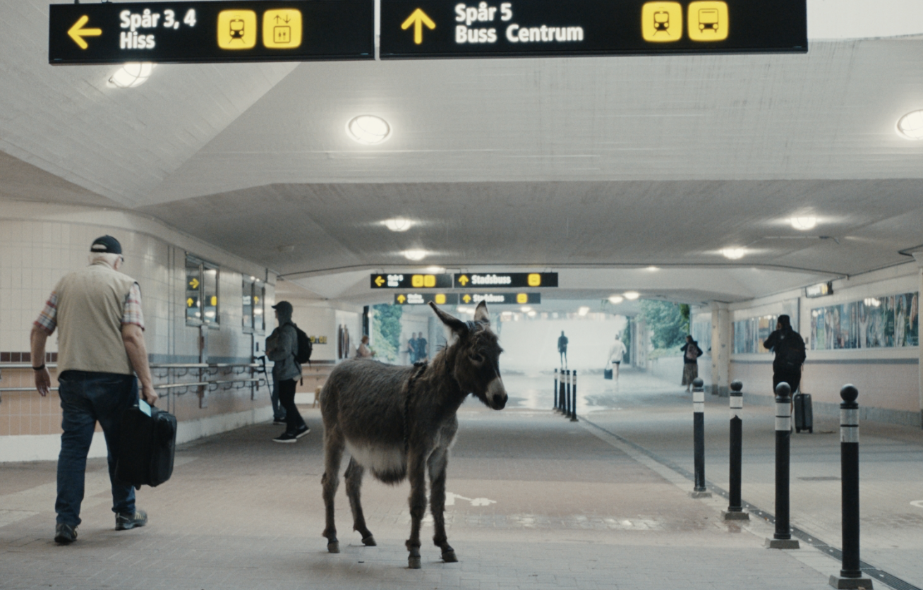 Donkeyland