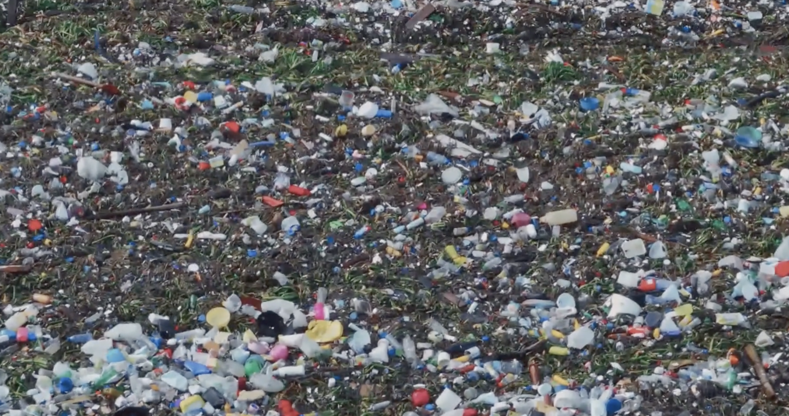 Nick Cave’s Veiled World