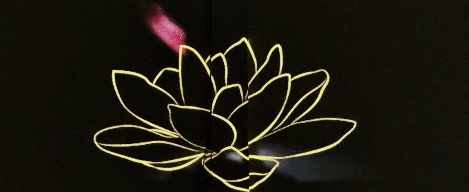 The Lost Golden Lotus
