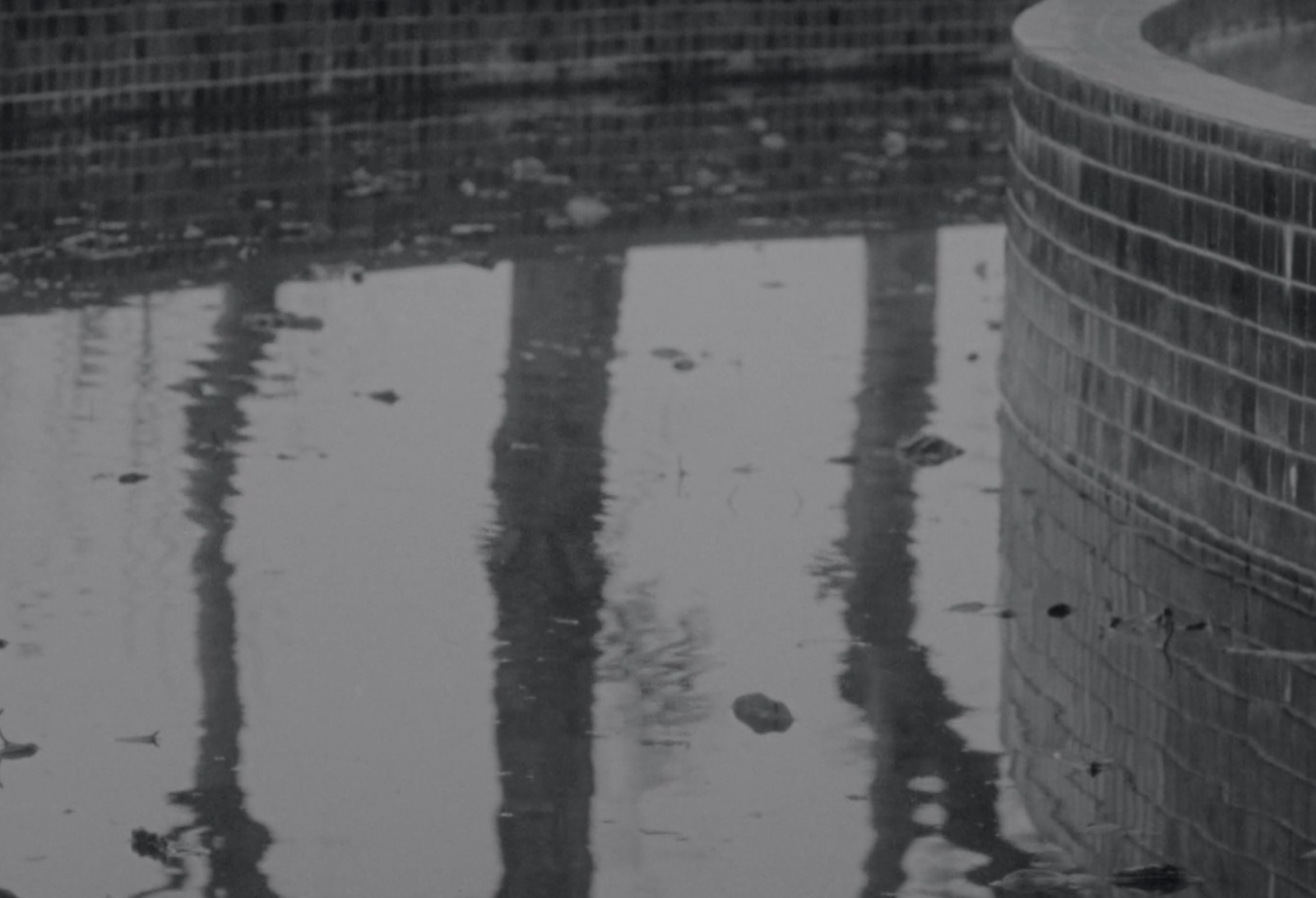 Fallen Noon