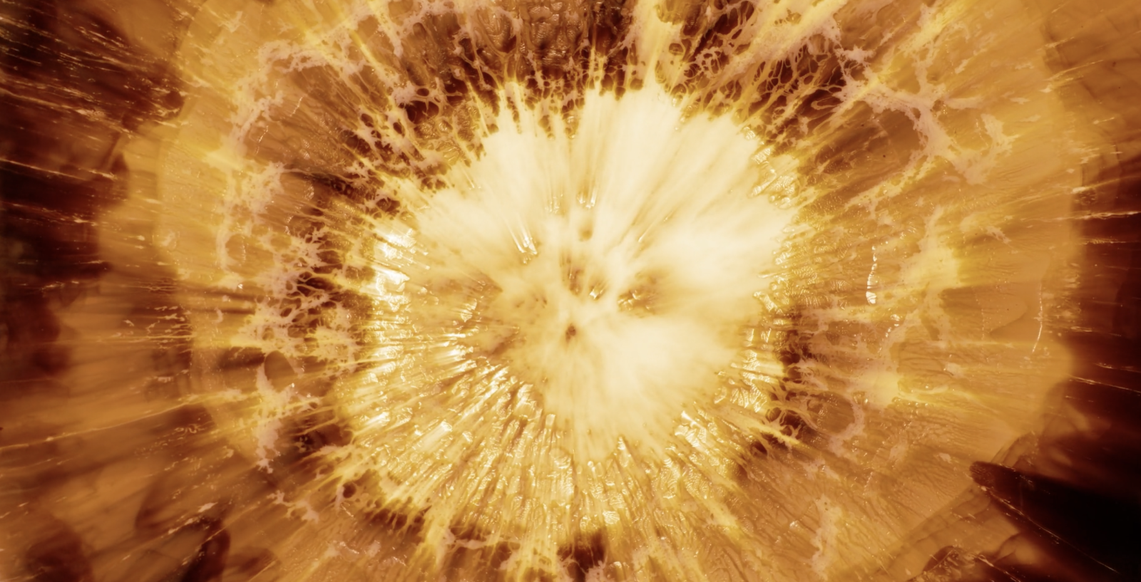 Stellar Iris