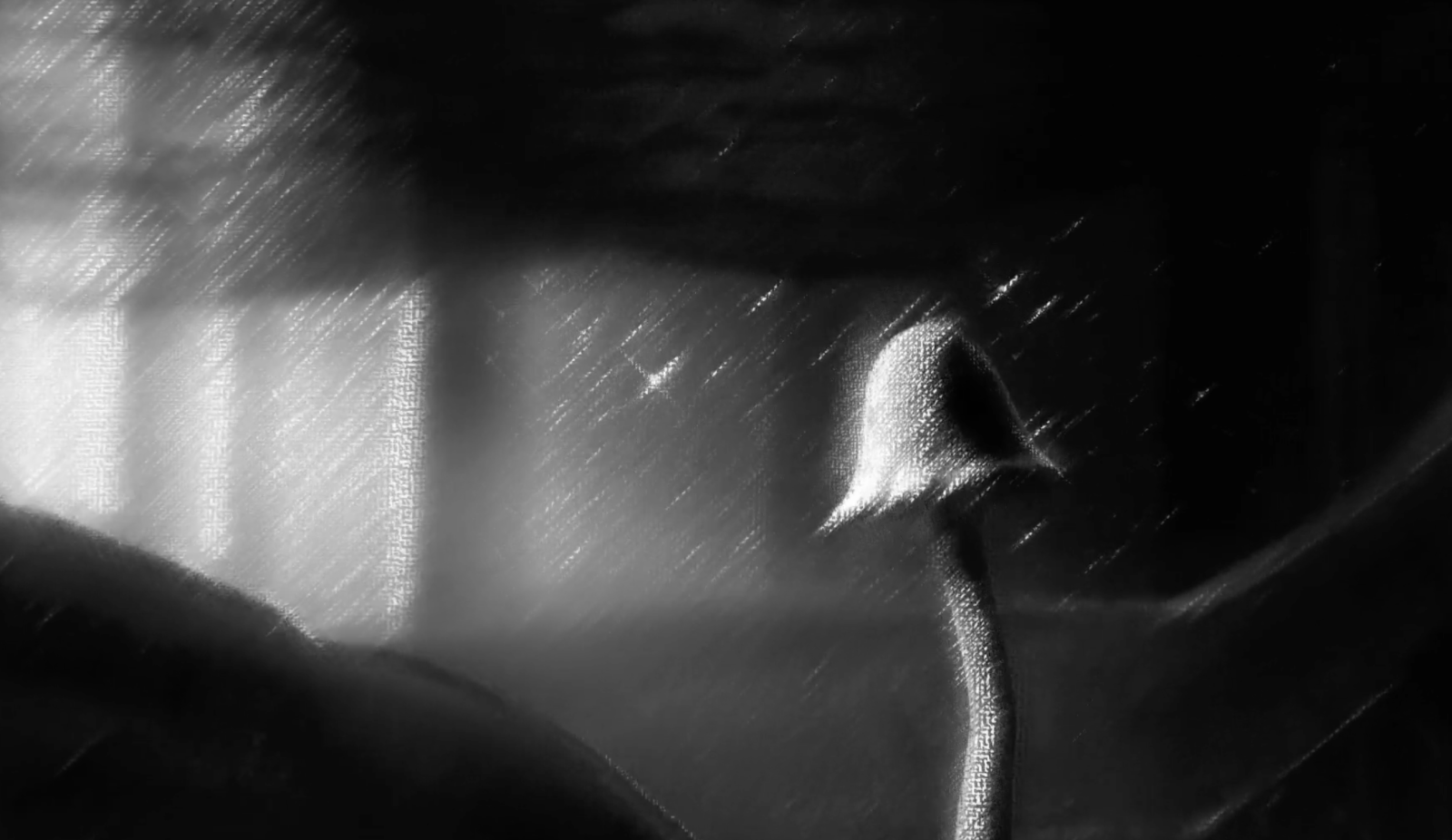 The Mushroom Man