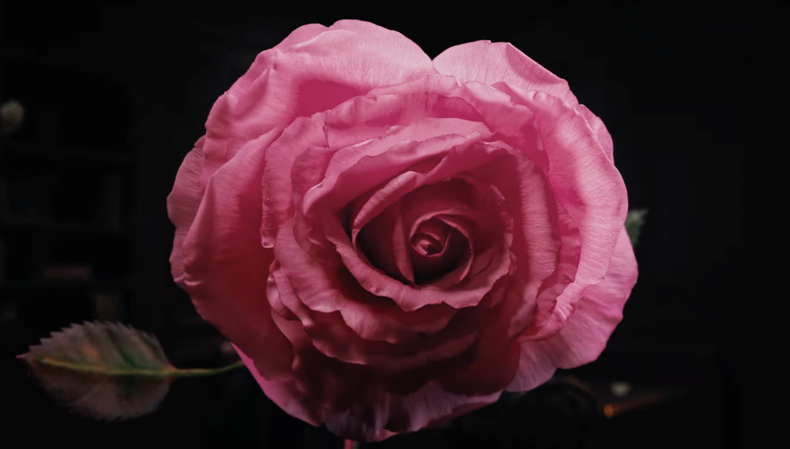 La Petite Robe noire : le Parfum