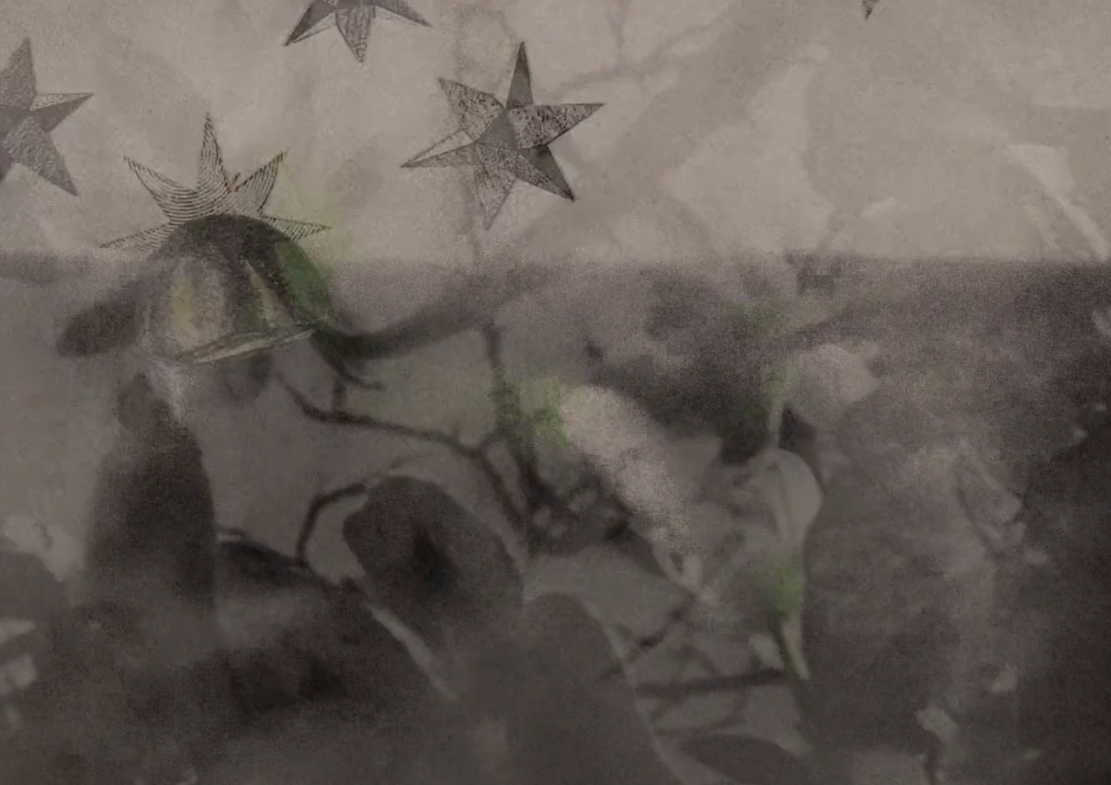 The Stars Watch from Long Ago