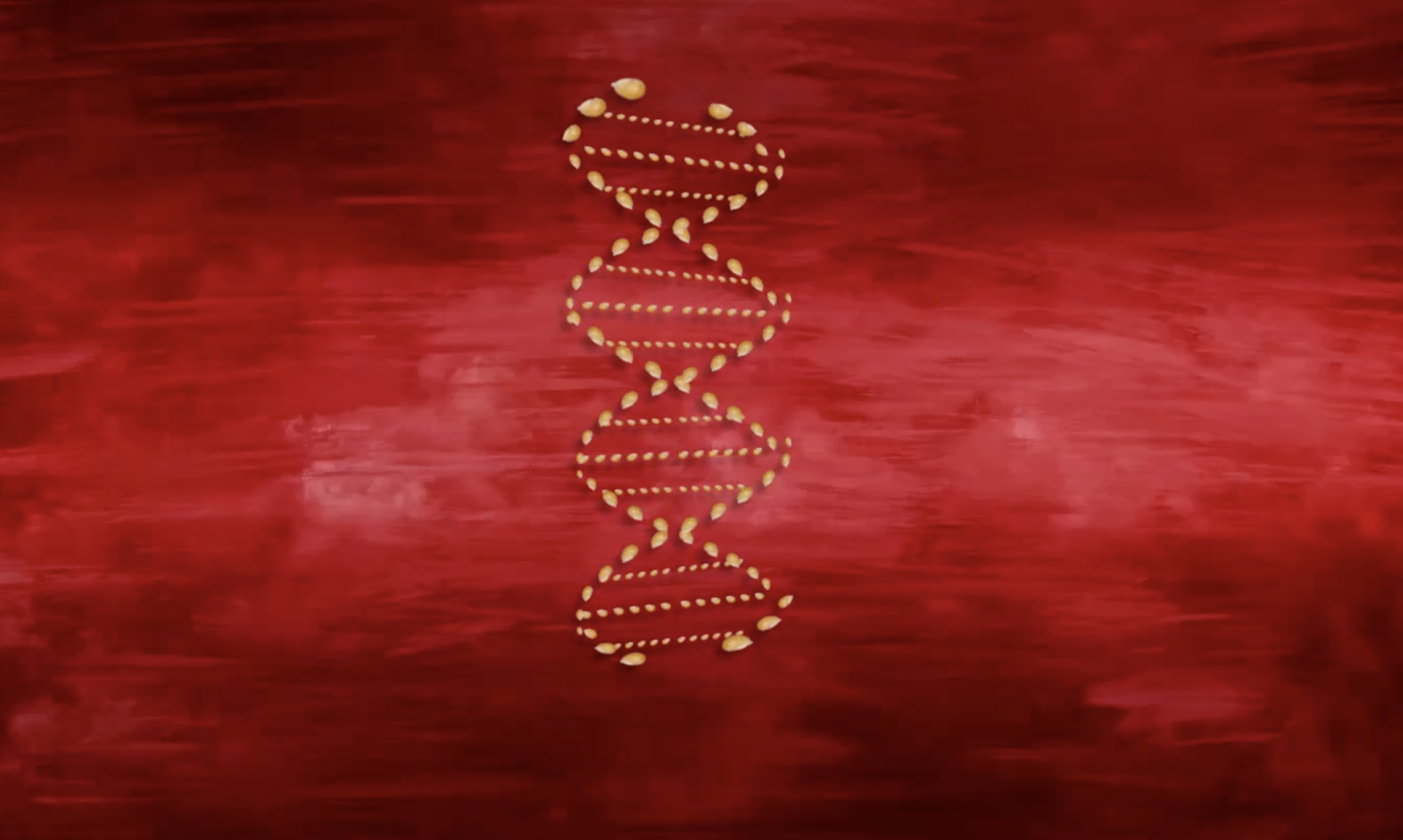 Bande-annonce du Festival StopTrik 2024
