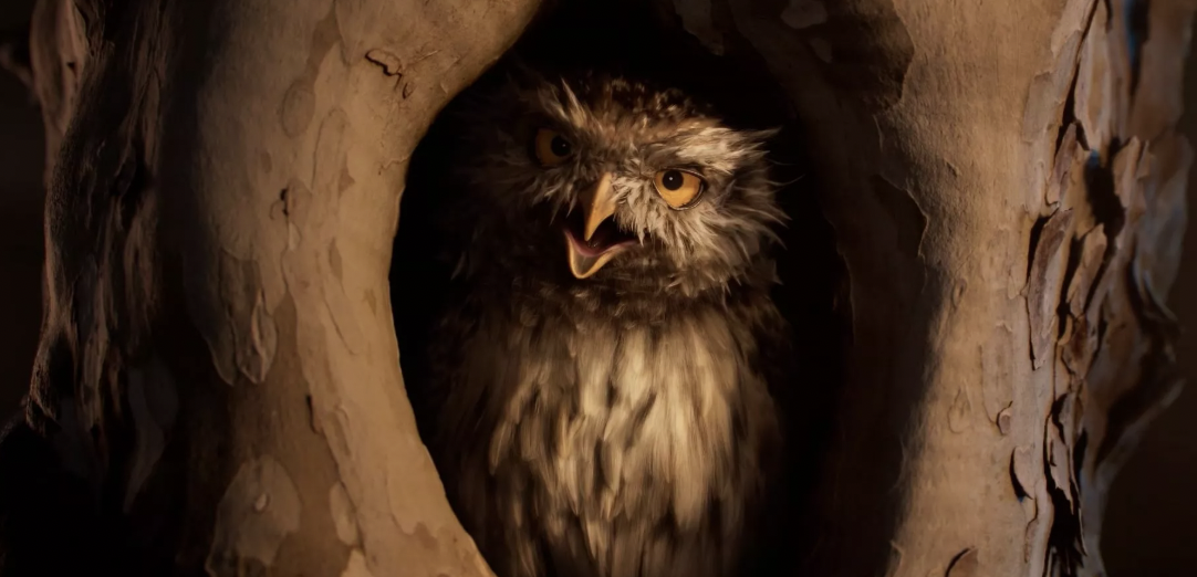 Enedis "Les Oiseaux"