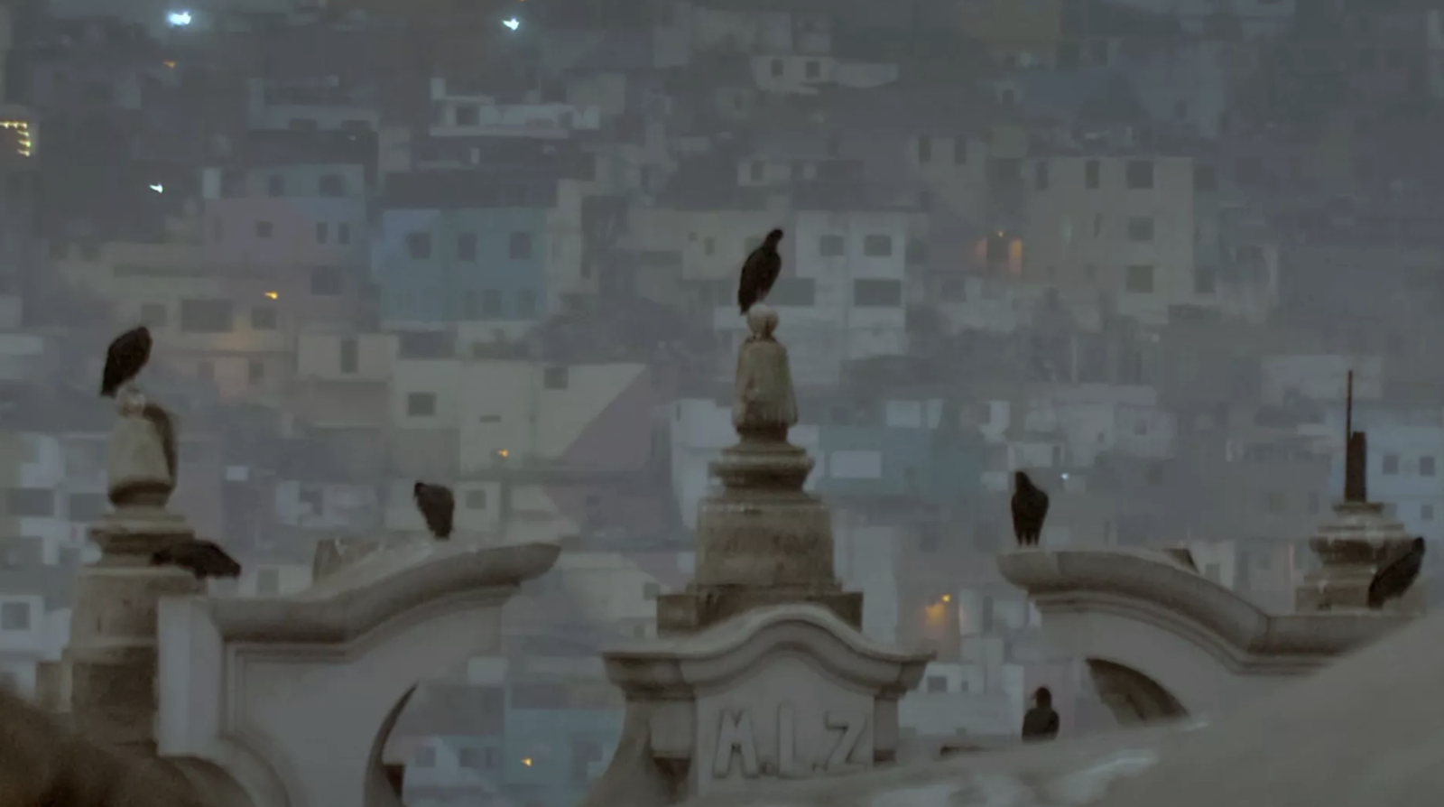 The Colloquium of the Birds