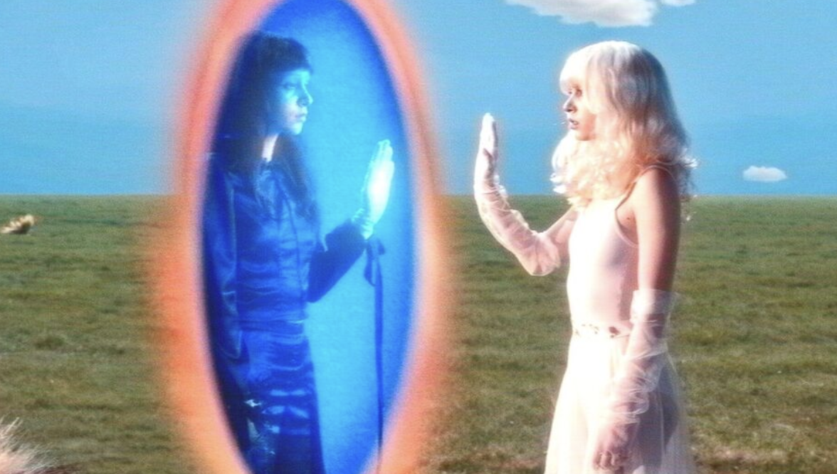 Imaginal Disk