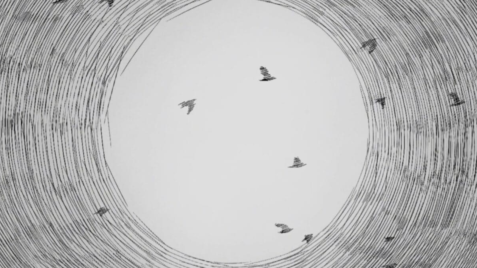 A Black and White Story