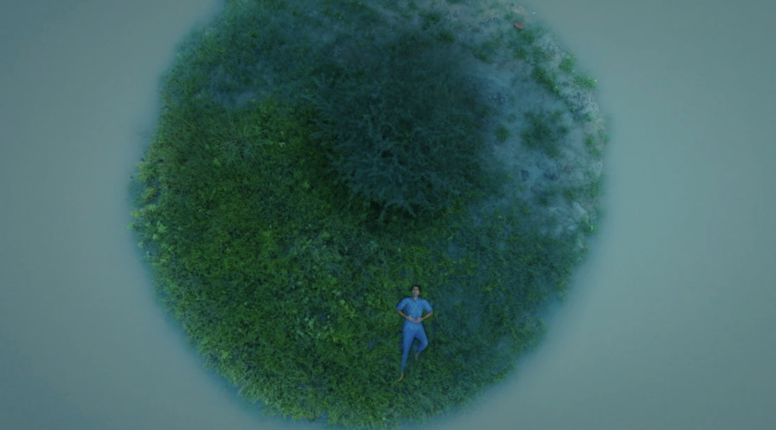 Groundswell