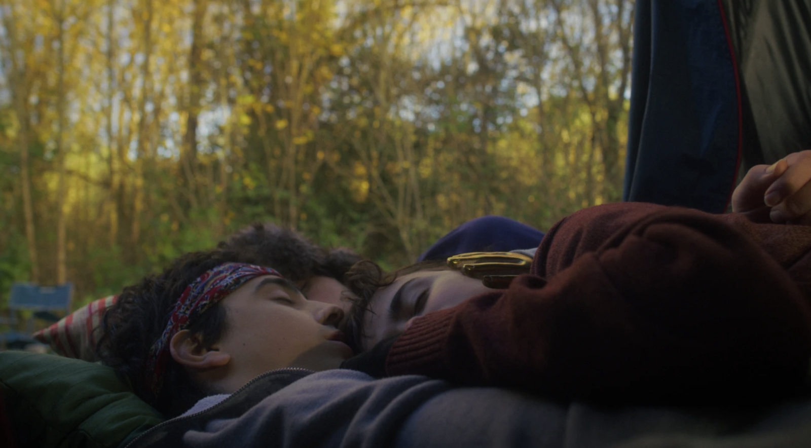 Where Fireflies Sparkle