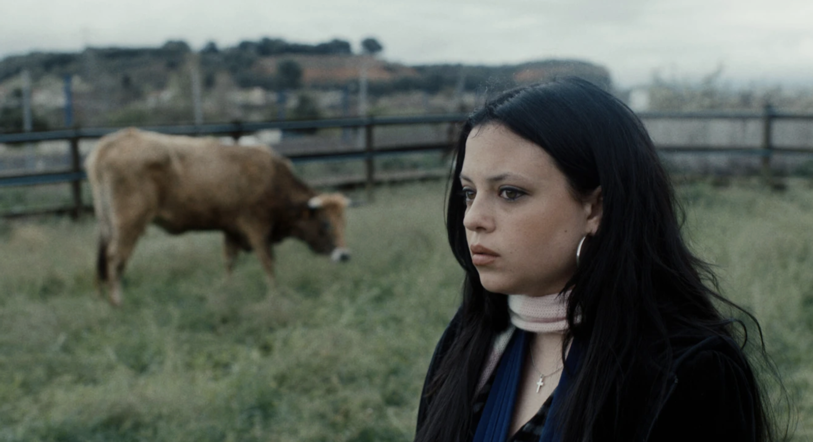 Tú, yo y la vaca