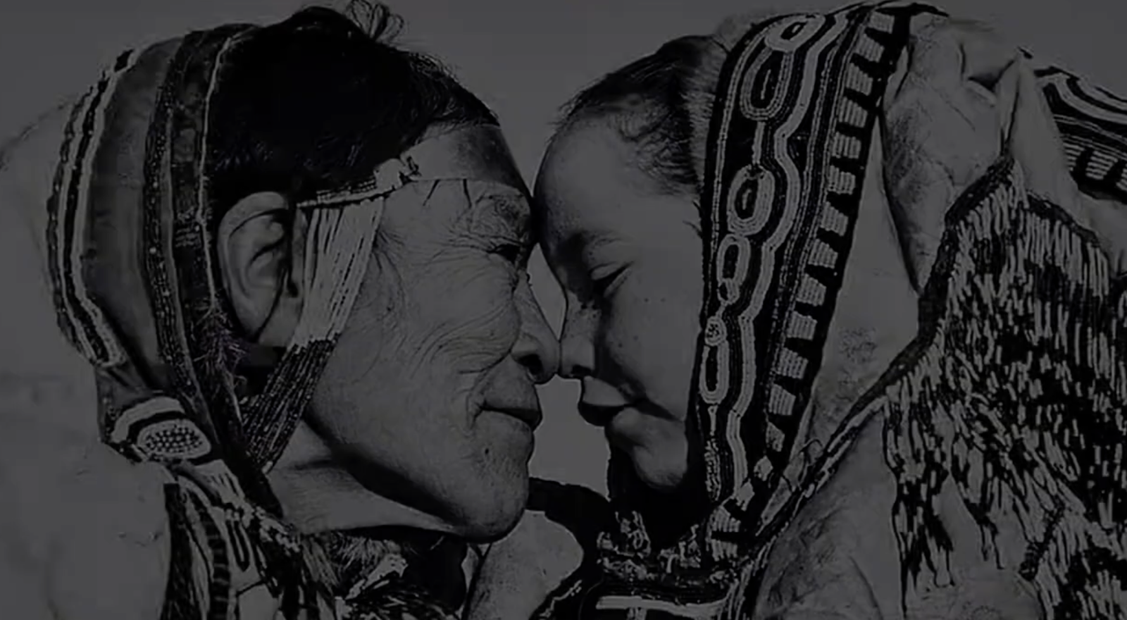 The Issue with Tissue: A Boreal Love Story