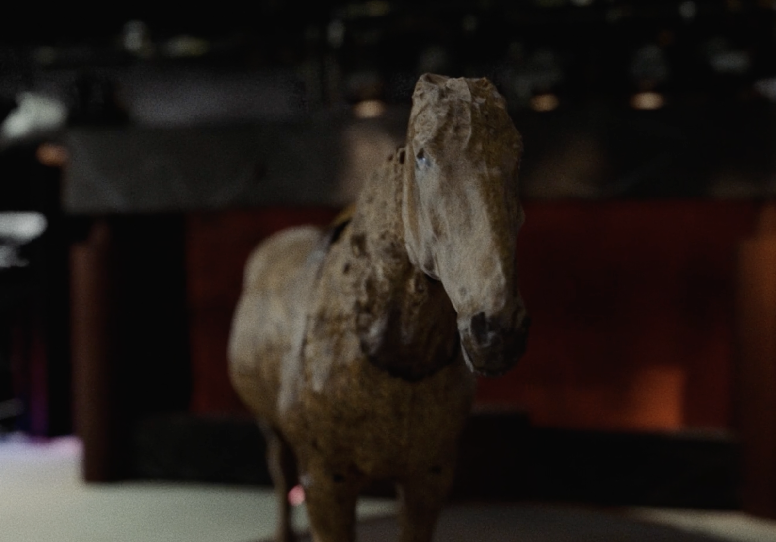Someone to Steal Horses With