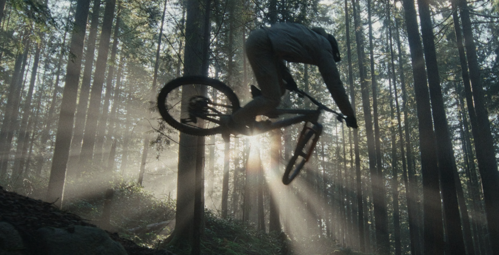 Bas Van Steenbergen: Interlude
