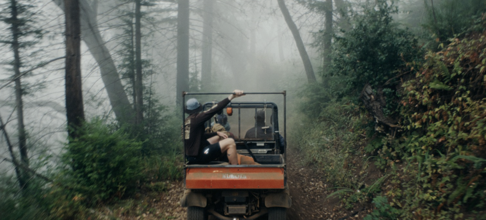 Fog Eaters