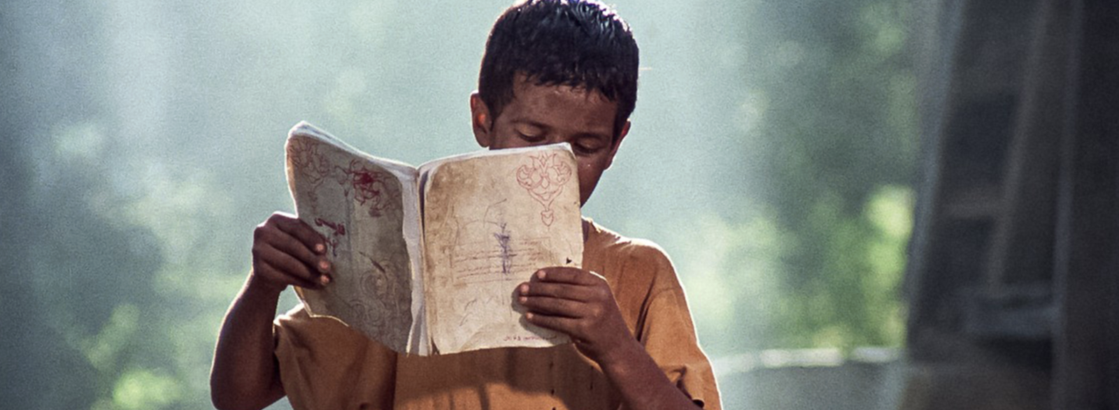 Bashu, the Little Stranger