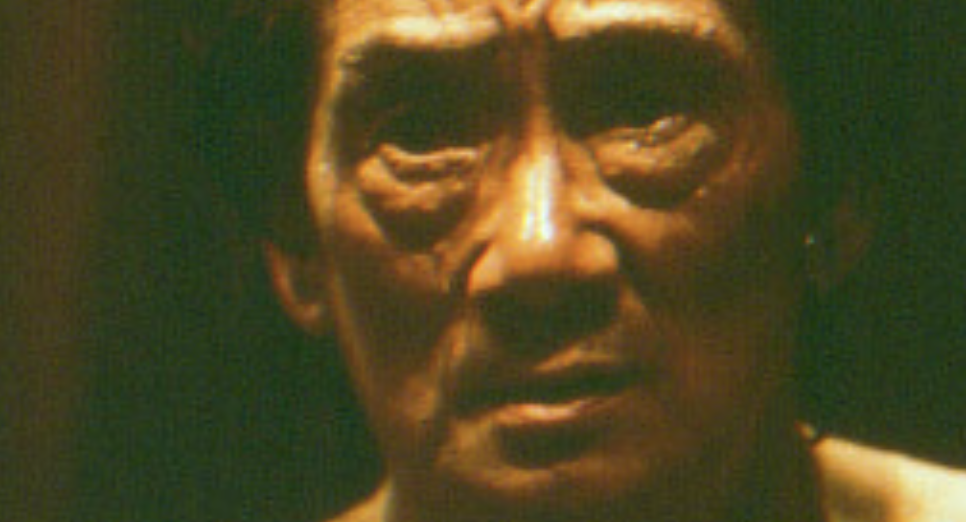 The Killing of a Chinese Bookie