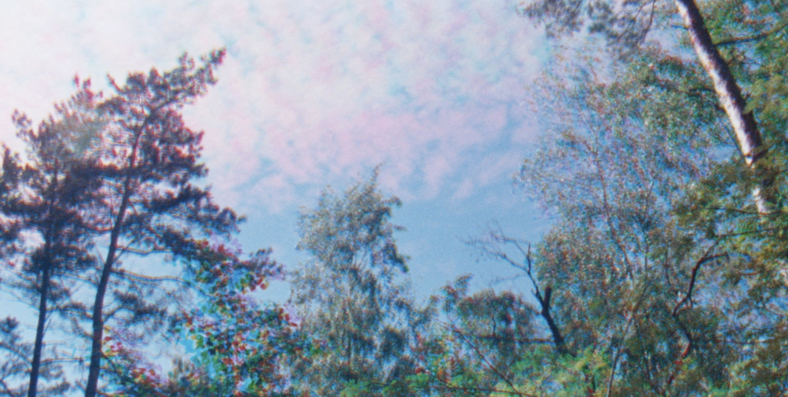 Rojo Žalia Blau