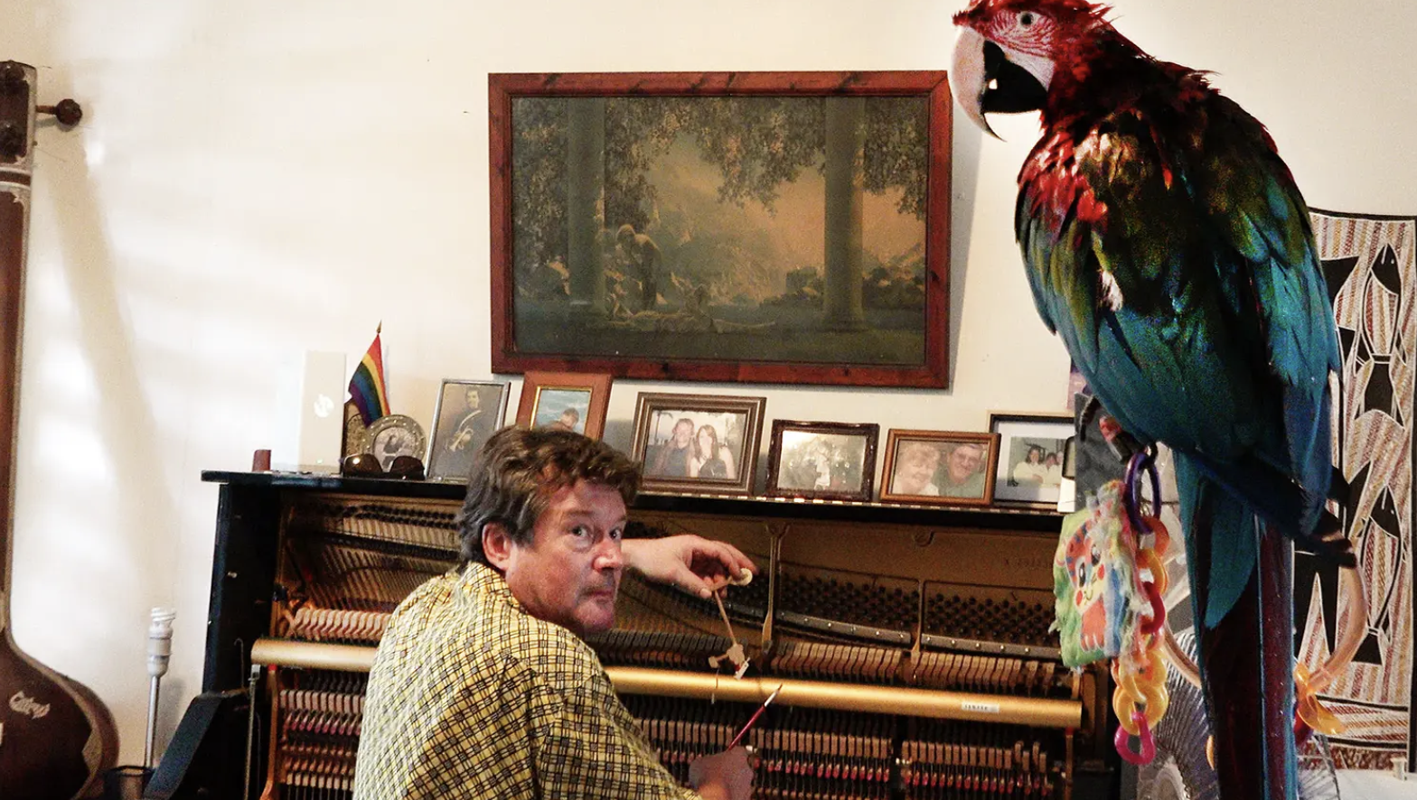 The Piano Tuner