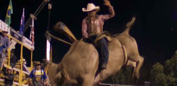 Rodeo Dreams by Rhian Skirving
