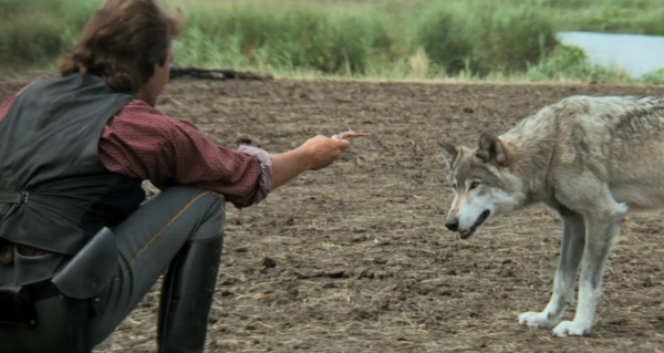 Dances with Wolves