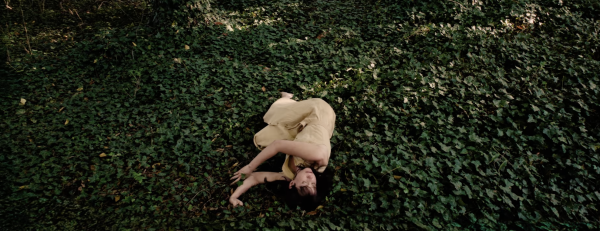 Ferine by Andrea Corsini