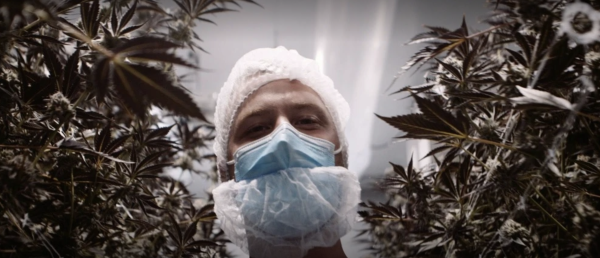 The know-how of cannabis by Jonathan Gaudreau
