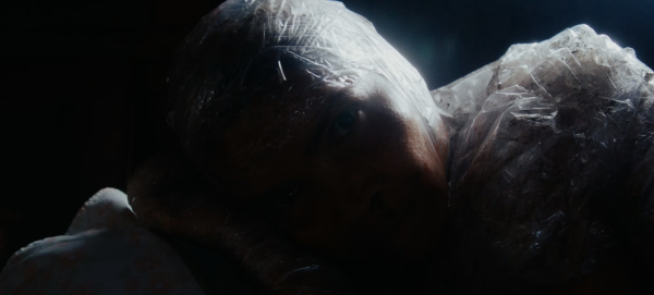 The New Flesh