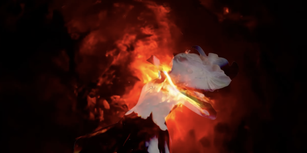 Fragment of Falling