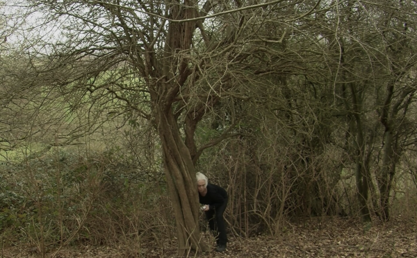 Love on the Bramble Path