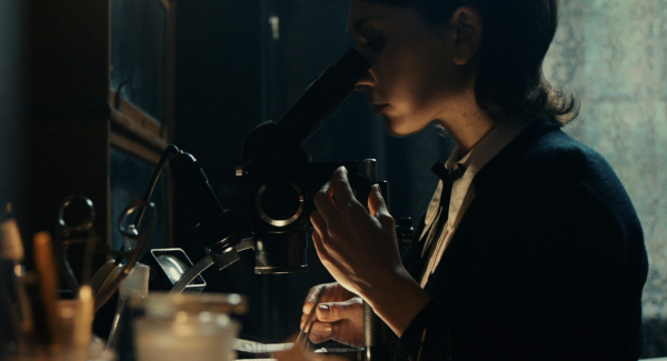 The Duke of Burgundy