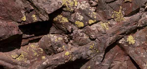 Unstable Rocks
