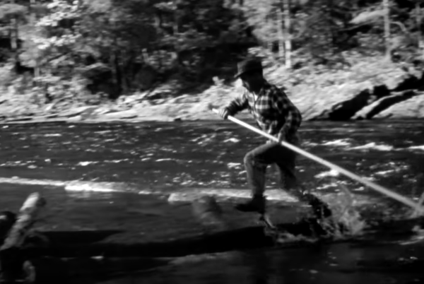 Log Driver’s Waltz
