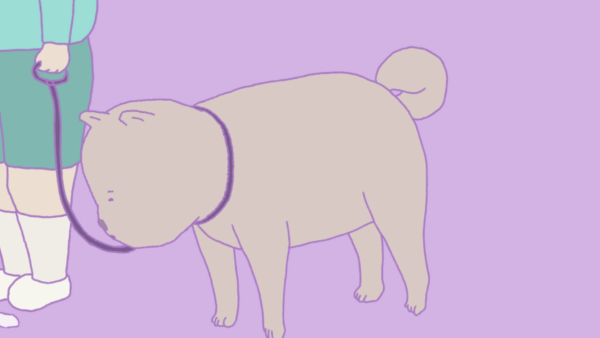 little boarlet