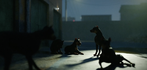 The Dog