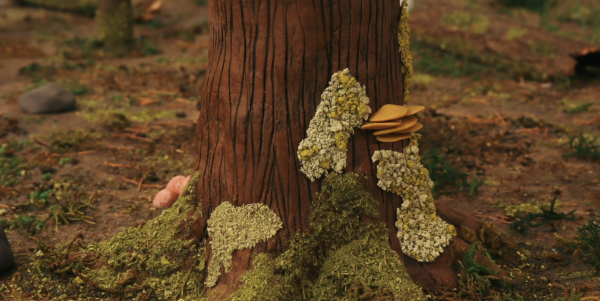 Sapling