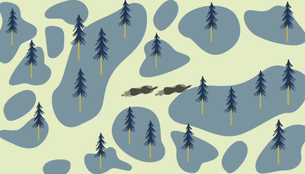 WOLVES IN SCANDINAVIA