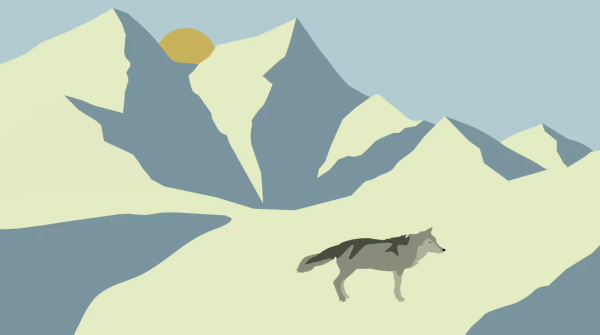 WOLVES IN SCANDINAVIA