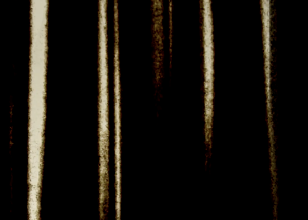 Shadows of ourselves by Pedro Serrazina