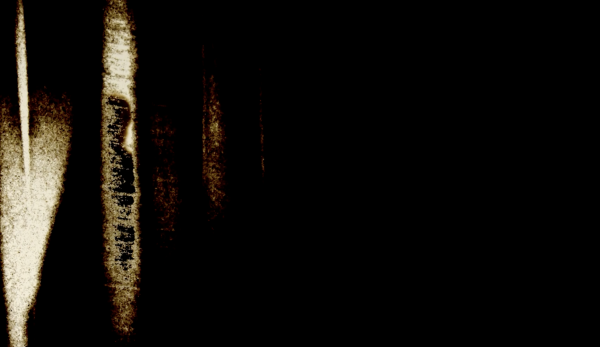 Shadows of ourselves