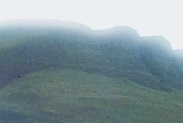 Sligo Water Horse