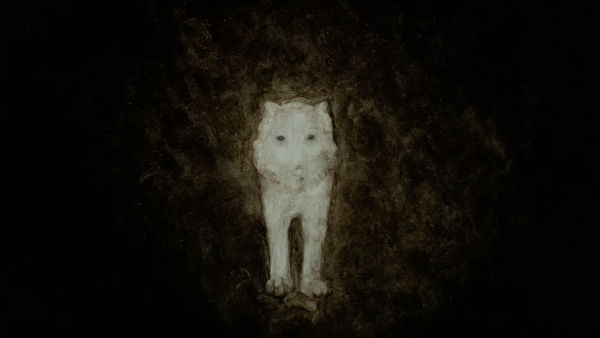 Strange Beasts by Darcy Prendergast