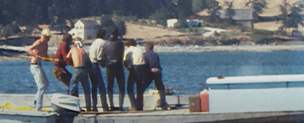 Resident Orca